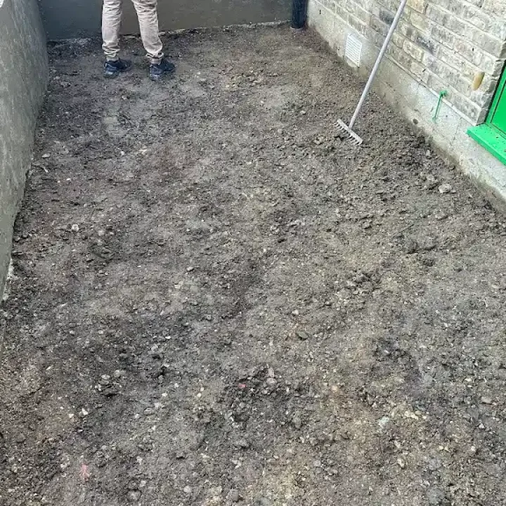 Hedge removal Hedge removal
