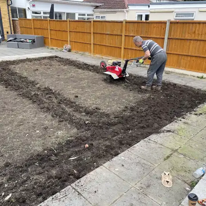 pruning pruning